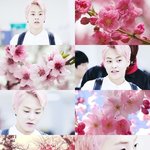 [시우민] 꽃이 너인지 <b>네가</b> 꽃인지