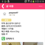 냐옹이 입양 원하시는 분 찾습니다.