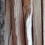 (캠핑<b>tip</b>) 참나무장작 !