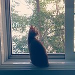 [<b>보리</b>별] 마트에서 온 <b>보리</b> 3