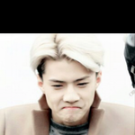 [EXO] 엓팬들이말한다 ㅋ