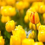 다리 살 빼는 방법 어려우세요? 잠실!! <<b>하체</b>비만한의원>