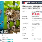 일산 아쿠아플라넷 입장권 <b>옥션</b>에서 싸게 구매