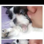 [EXO] <b>개발</b><b>악</b>ㅋㅋㅋㅋㅋㅋ