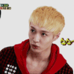 [EXO] 지금 우리에게 필요한것