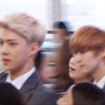 [루한] 연예인 실감짤