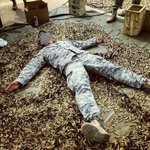 "한국군인들 보고있나" 어느 <b>미군</b>이 올린 인증샷