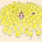 [시우민] 댓글에 <b>병아리</b>짤을 쓰곤했는뎅 