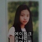 과거 사진도 굴욕없는 <b>에이</b> 핑크