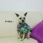 [<b>삼순</b>이] 그녀들을 당황하게 만든 그남자