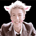 [EXO] 이짤..맘이 화사해짐