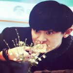 [EXO] 마니머거 열매<b>얌</b>