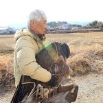 [짤북] 독수리 <b>실제</b>크기
