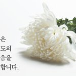 노란<b>리본</b>