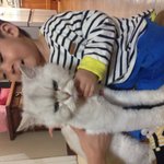 [네냥이오] 짜<b>몽이</b>의 육아일기