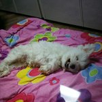 내동생 사진 (객관적으로 귀여움)