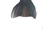 사진잇음)이거시스루<b>뱅</b>맞나요?!?