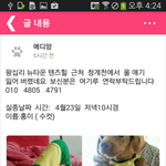 홍이를 찾습니다.