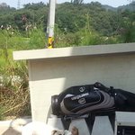 [옹똘평] 우리집 상전2