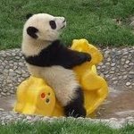 [EXO] 이런 친구 어때보여요