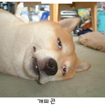주중이랑..