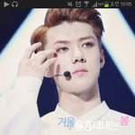 [EXO] ㅅㄷ <b>버즈</b>런쳐 쓰는사람