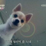 [팬픽] 카디<b>바보</b>에게 알집보내준 '잉'<b>옹</b>ㅠㅠㅠ