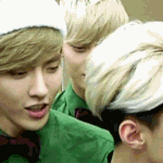 [크리스] <b>비서</b>들 이거 언제야? ㅠㅠ