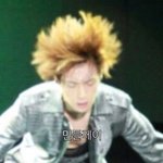 [EXO] 엑소진짜 민들레닮지않음?