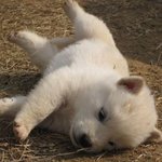 [<b>가리</b>뱅] 어제 술취해서 넘어짐 ㅠㅠ