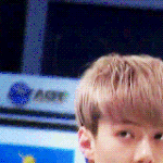 [EXO] 총정리