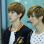 [EXO] 남연갤 세루충은 시우민 따라다니면서