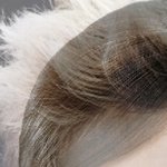 [EXO] 루한은 <b>여배우</b>생인갑다 한가인+루한