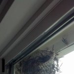 [짤북] <b>앞마당</b> 해처리.jpg