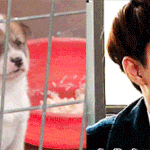 [도경수] <b>씽크</b> 대박 경수 멍멍이 ㅋㅋ