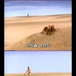 [돌지기] 돌아온 지후가 가져오는 기묘한 이야기 - 스물여덟