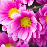굵은 종아리 해결법 쉽게해요 <미소진한<b>의원</b>>