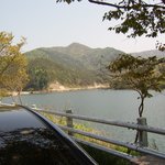 쌍계사 벚나무 여행 [마이딘 RX300 &amp; 현대엠엔소프트 지니넥스트]