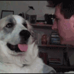 [인생<b>무상</b>] 보이기 시작했다(58) 지하방 (두번째이야기)