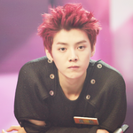 [EXO] 루한이 송지효..