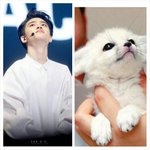 [EXO] 좀 귀엽지않냐?
