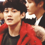 [CHEN] 죵대한테 안넘어가고는 못배길걸.<b>gif</b>