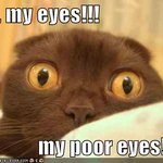 [청소년의성] 19)사각팬티입고 <b>쩍</b><b>벌</b>하는오빠