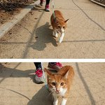 [<b>보리</b>별] 마트에서 온 <b>보리</b> 4