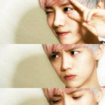 [EXO] 오늘 <b>허니콤</b>보를 먹어보았다