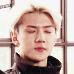 [EXO] 가수까지마. 비교도ㄴㄴ
