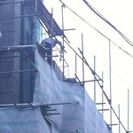 저희 회사 사장의 횡포 ㅋ