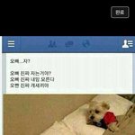 [짤북] 오빠 자는거야? 오빤 진짜 <b>내</b><b>맘</b> 모른다