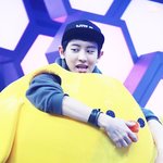 [EXO] 애가<b>대회</b> 병아리 찬열ㅋㅋ