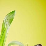 <b>다리살</b>많이빠지는운동 잠실에서 알려드릴게요